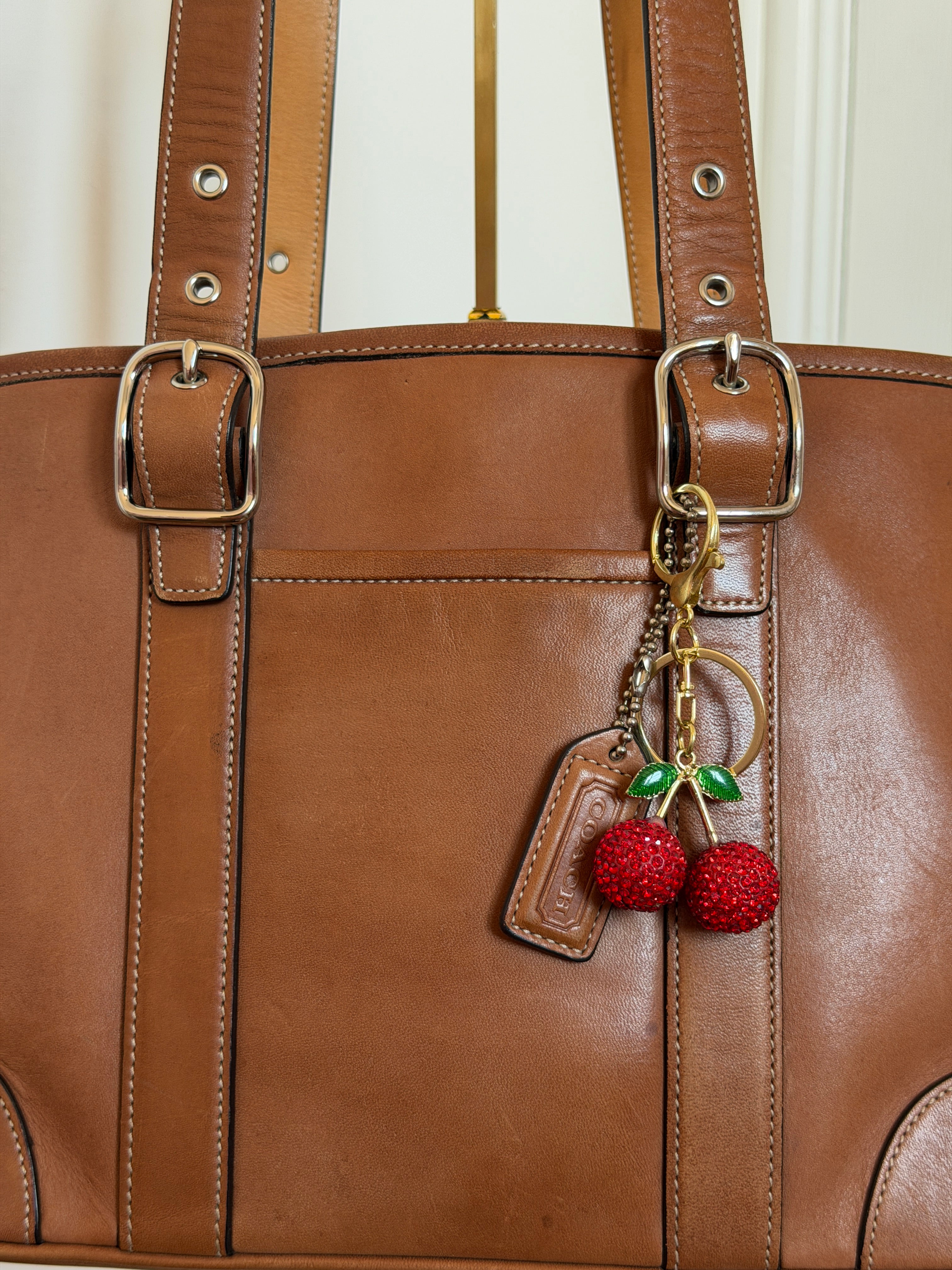 Coach Signature Leather Tote Brown